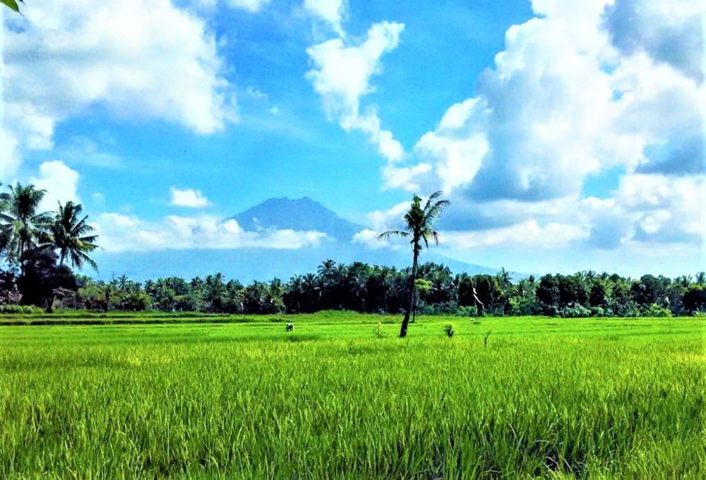 Photo of Others in Tamansuruh