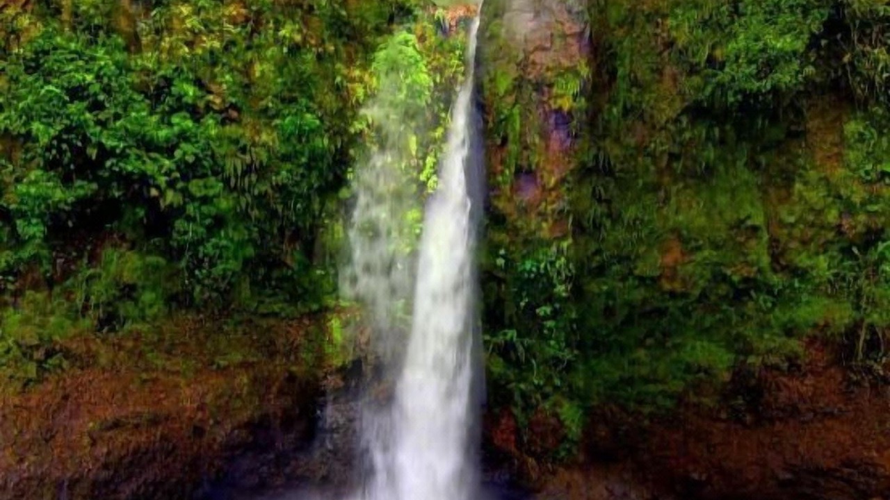 Photo of Outdoor in San Roque