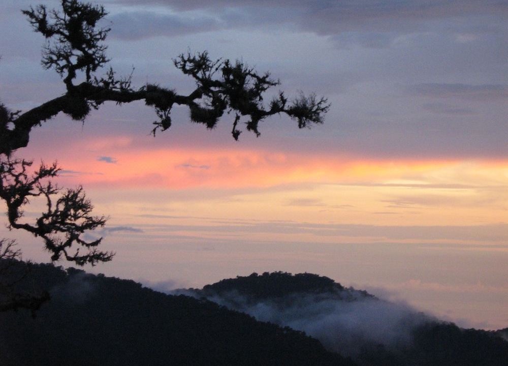 Photo of Outdoor in San Gerardo de Dota