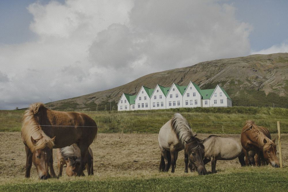 Photo of Others in Laugarvatn