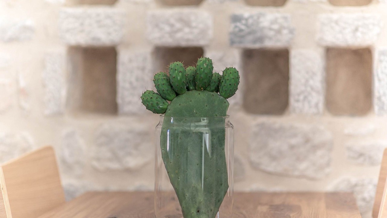 Photo of Others in Areopoli