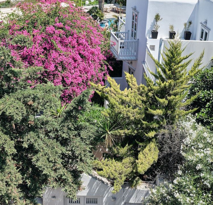 Photo of Buildings in Mykonos