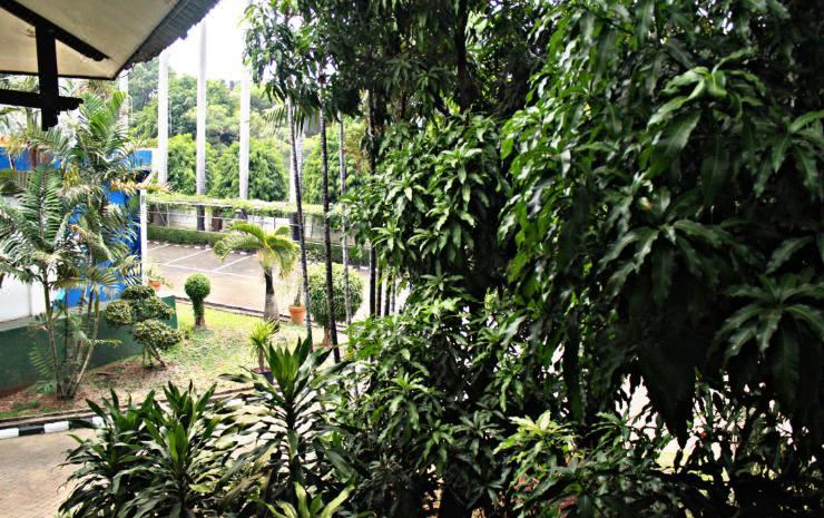 Photo of Others in Kayu Putih