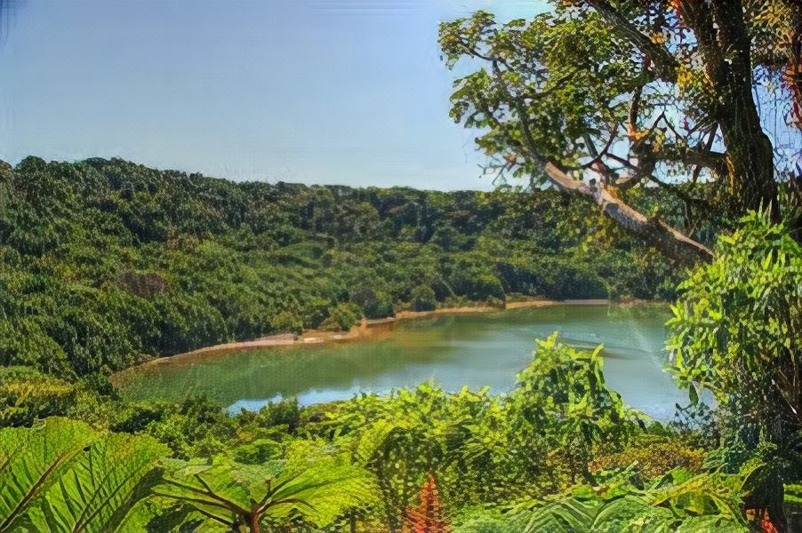 Photo of Outdoor in San Roque