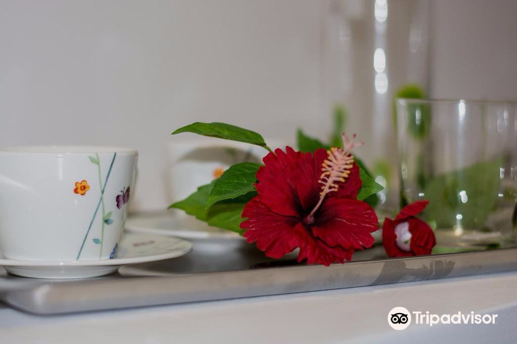 Photo of Others in Petaloudes