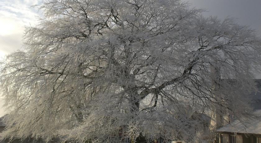 Photo of Outdoor in Gretna
