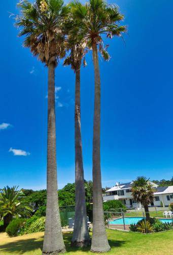 Photo of Others in Pukenui