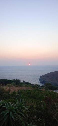 Photo of Others in Andros Town