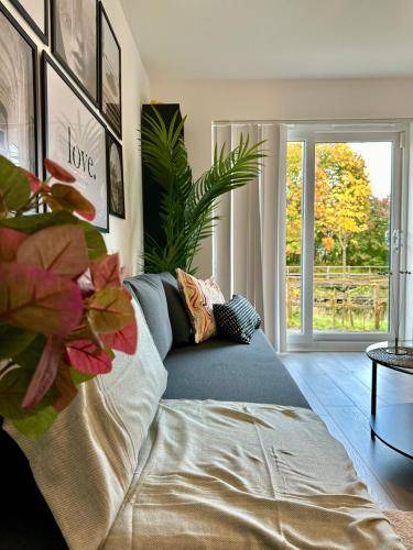 Photo of Others in Clydebank