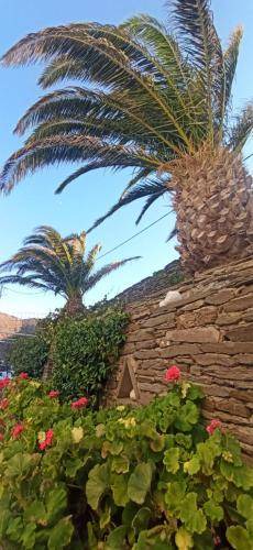 Photo of Others in Andros Town