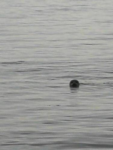 Photo of Human In Picture in Eriskay