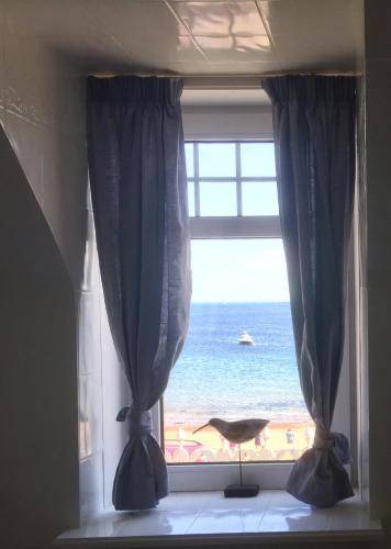Photo of Others in Rosemarkie