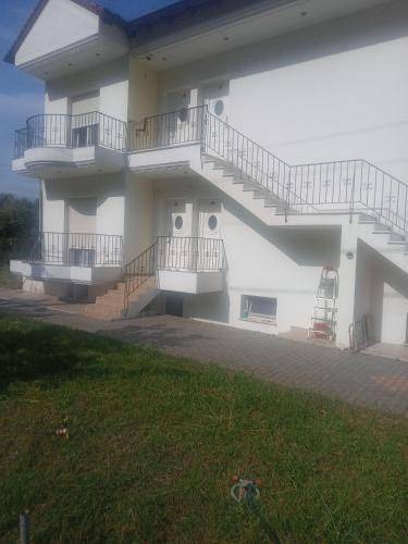 Photo of Others in Thasos