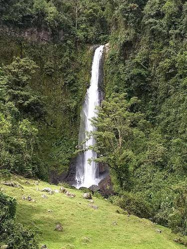 Photo of Others in Turrialba