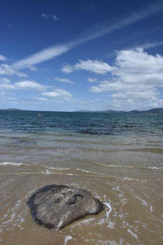 Photo of Others in Taroona
