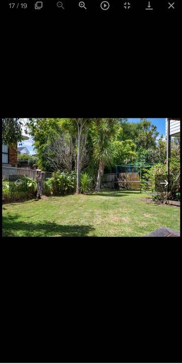 Photo of Others in Te Atatu South