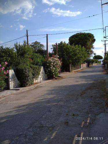 Photo of Others in Agii Apostoli