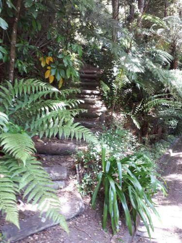 Photo of Others in Taumarunui