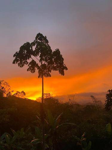Photo of Others in Turrialba