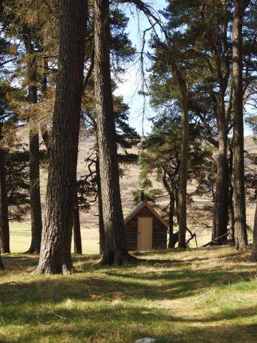 Photo of Others in Dunkeld