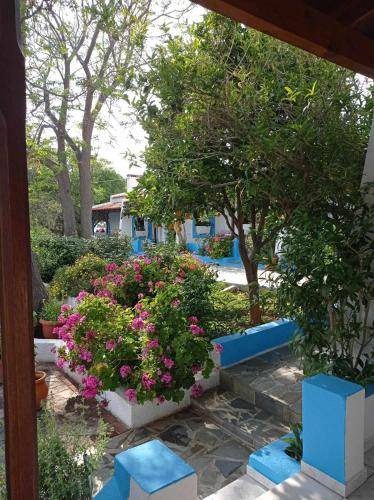 Photo of Others in Limnionas