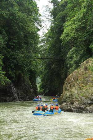 Photo of Others in Turrialba