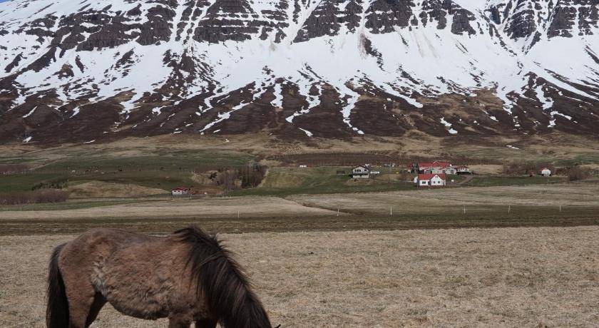 Photo of Others in Neskaupstadur