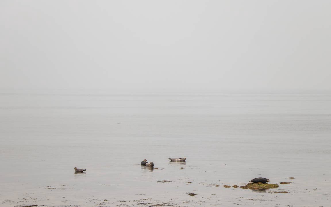 Photo of Others in Buckie