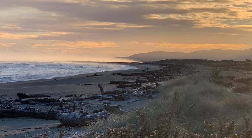 Photo of Others in Haast