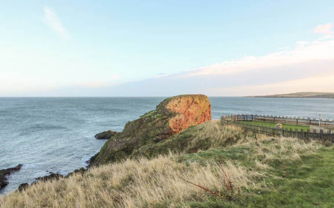 Photo of Others in St Abbs