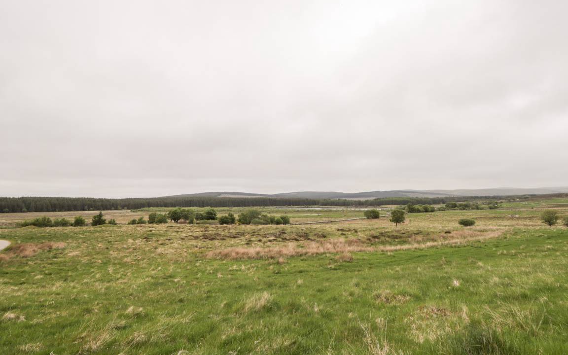 Photo of Others in Lairg