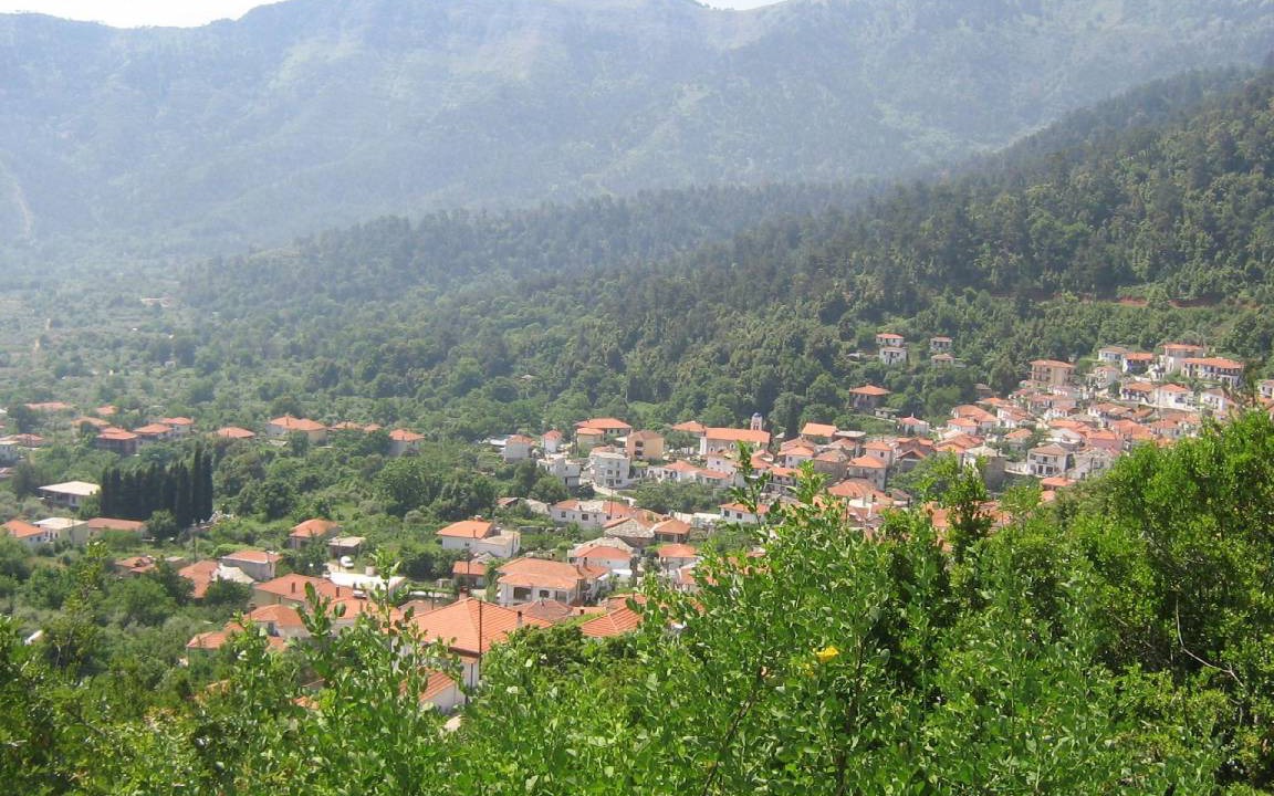 Photo of Others in Skala Potamias