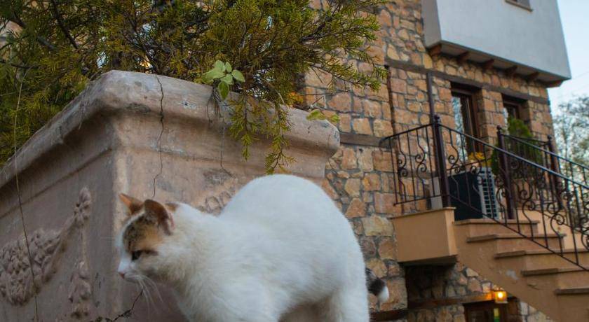 Photo of Others in Loutraki