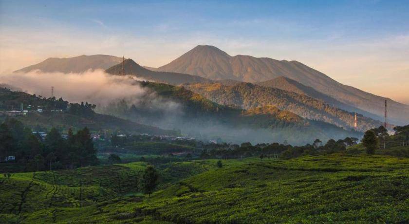 Photo of Others in Citaringgul