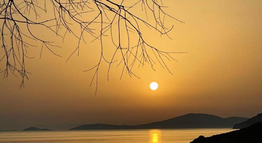 Photo of Others in Chora