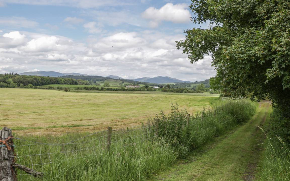 Photo of Others in Newton Stewart