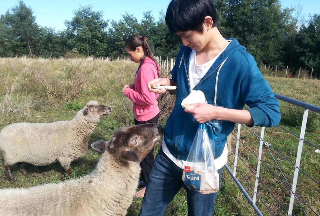 Photo of Others in Pongakawa
