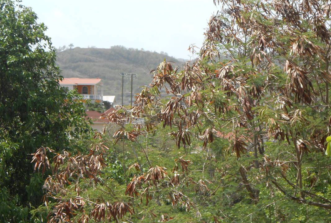 Photo of Others in Gros Islet