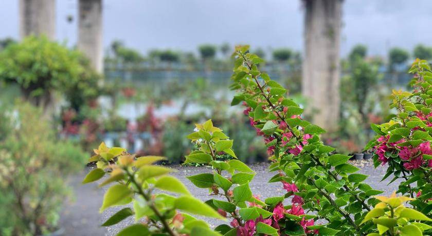 Photo of Others in Ciwidey