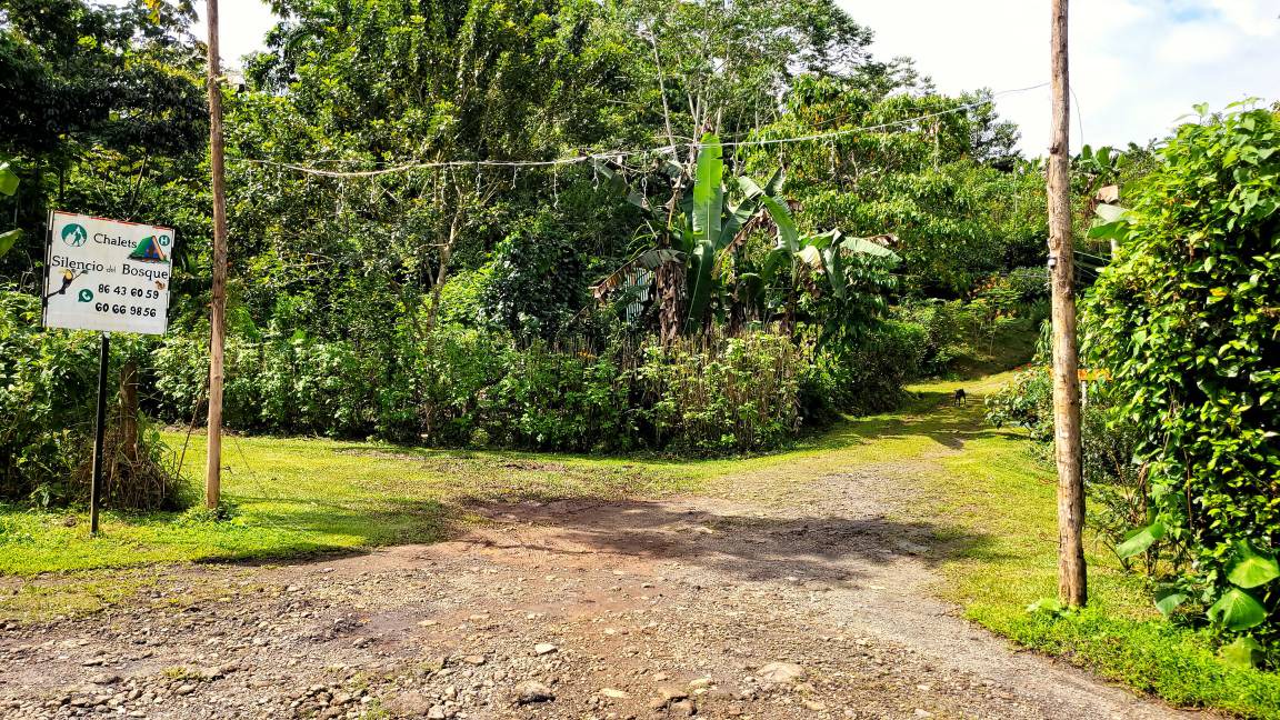 Photo of Outdoor in Penas Blancas
