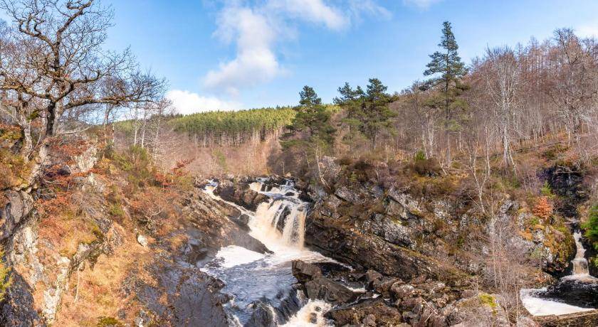 Photo of Others in Balnain