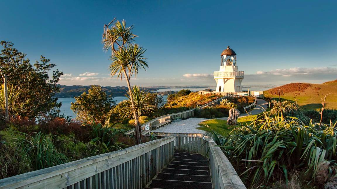 Photo of Others in Manukau City