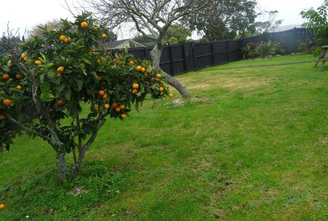Photo of Others in Mangere