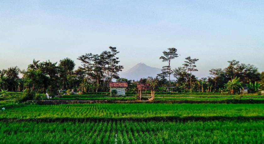 Photo of Others in Sinduharjo