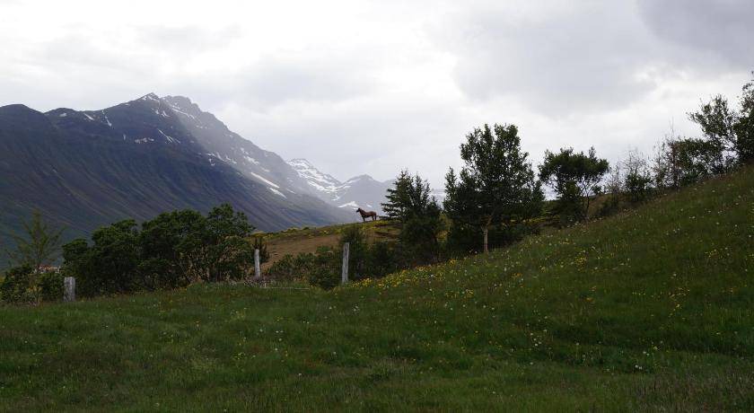 Photo of Others in Neskaupstadur