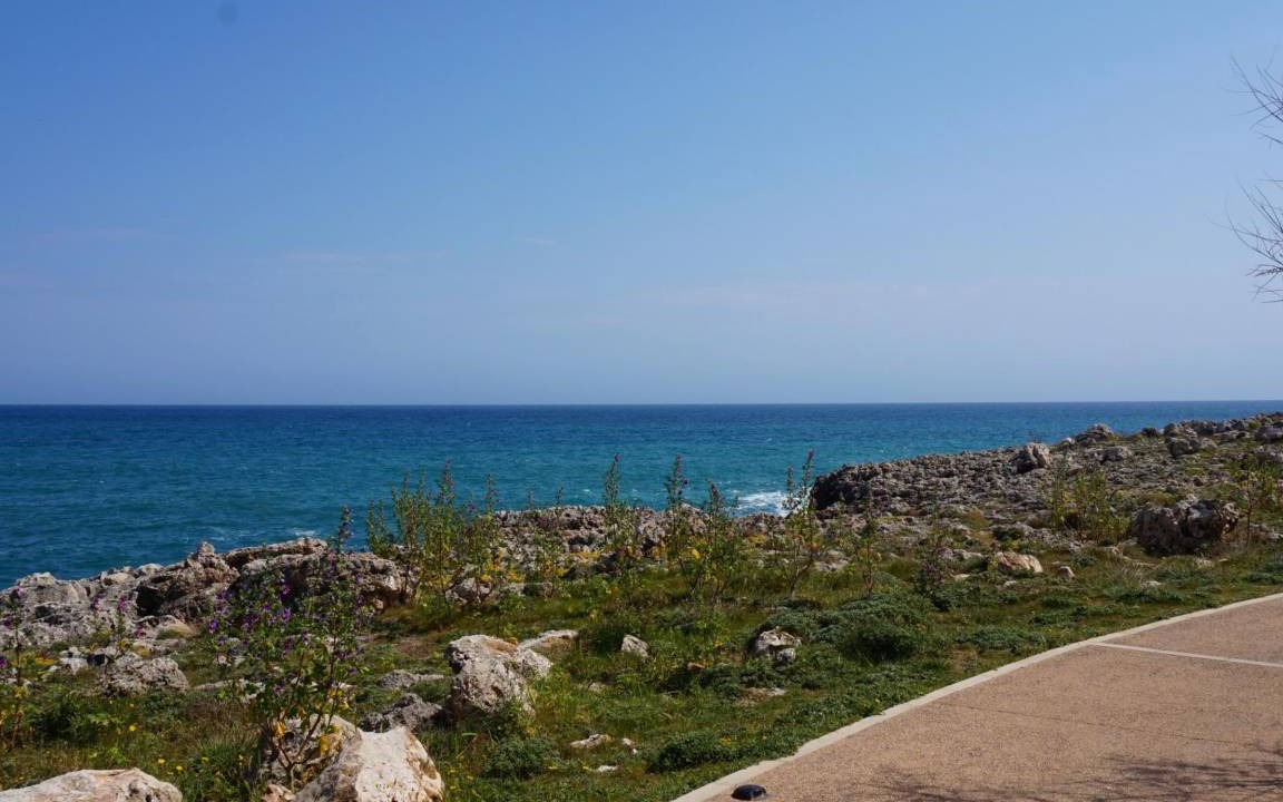 Photo of Others in S'Illot-Cala Morlanda