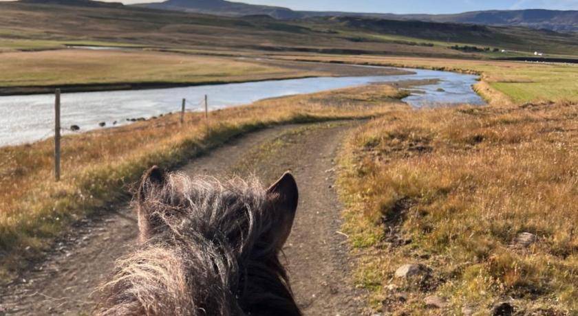 Photo of Others in Hvammstangi