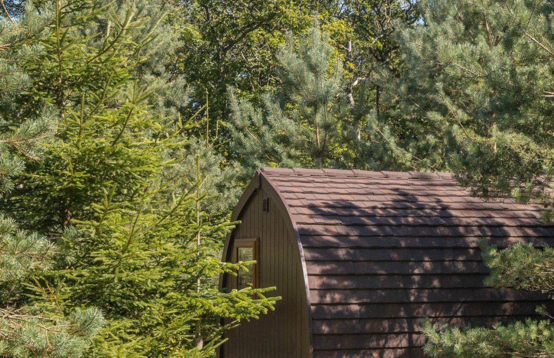 Photo of Others in Drymen