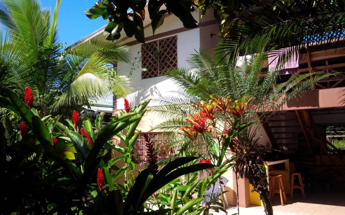 Photo of Others in Puerto Viejo de Talamanca