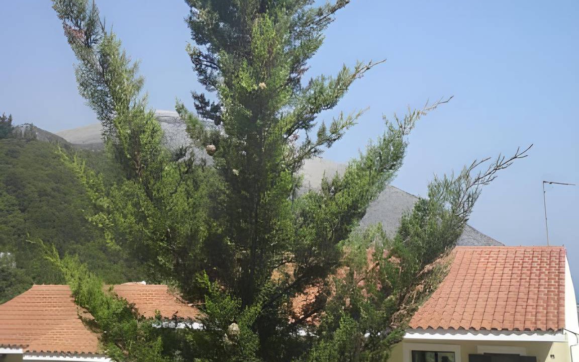 Photo of Outdoor in Eleios-Pronnoi